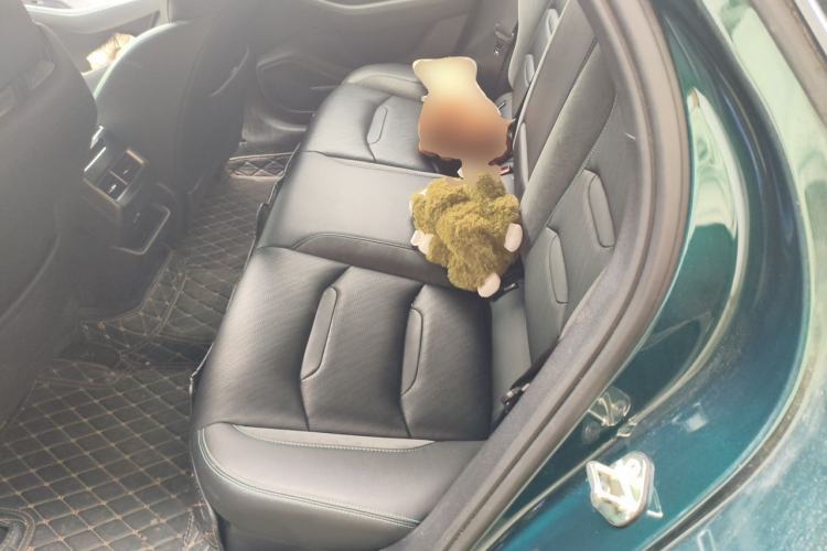 Used Geely Auto Preface 2023 2.0TD "Only This Verdant Green" Edition Left Rear Seat