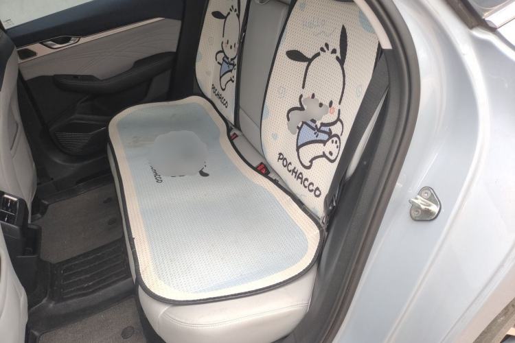Used Geely Auto Preface 2023 2.0TD Prestige Version Left Rear Seat
