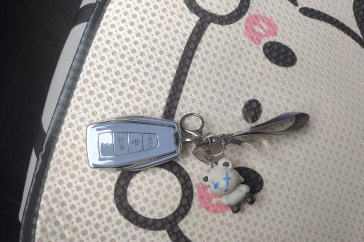 Used Geely Auto Preface 2023 2.0TD Prestige Version Vehicle Key