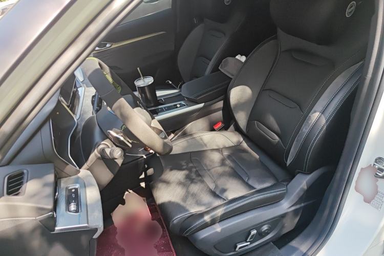 Used Geely Auto Preface 2023 2.0TD "Only This Verdant Green" Edition Left Front Seat
