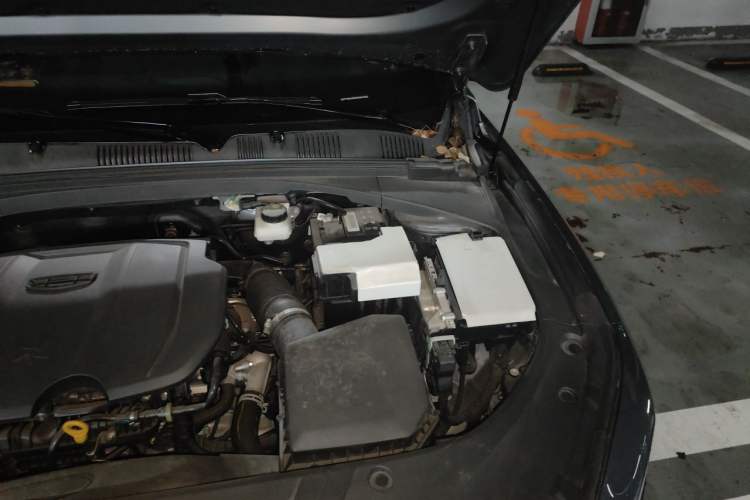 Used Geely Auto Preface 2023 1.5TD Kunlun Edition Engine Bay Left