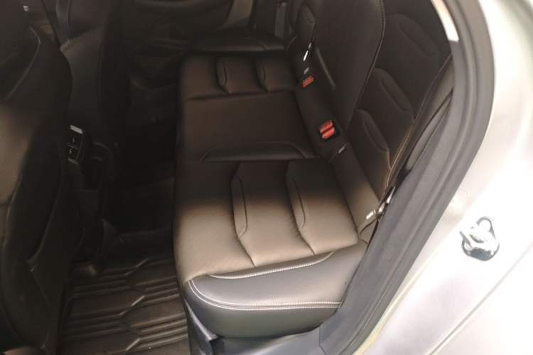Used Geely Auto Preface 2023 2.0TD Luxury Version Left Rear Seat