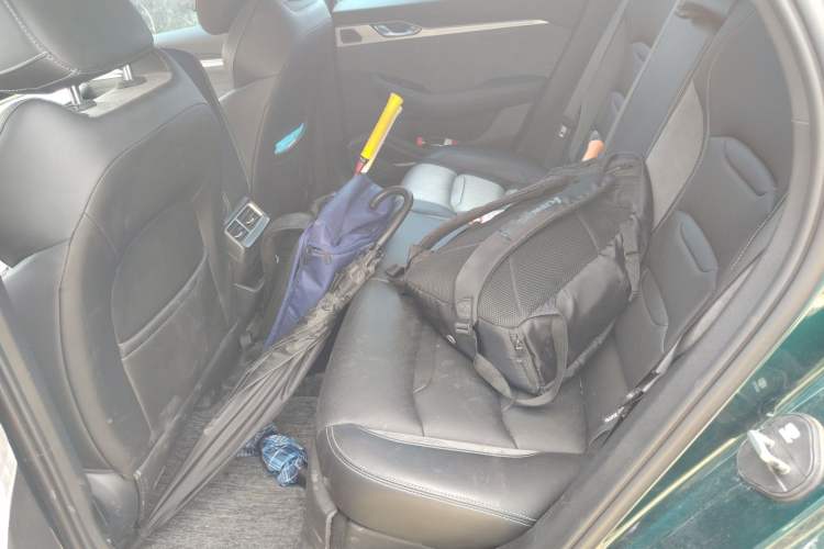 Used Geely Auto Preface 2023 2.0TD "Only This Verdant Green" Edition Left Rear Seat