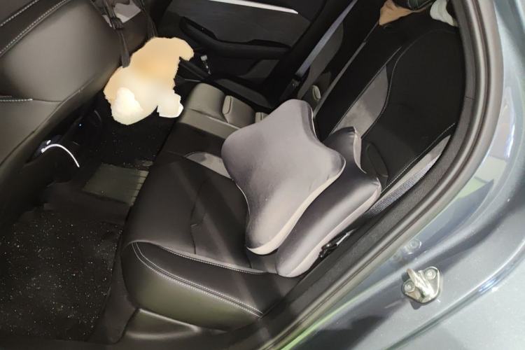 Used Geely Auto Preface 2023 2.0TD "Only This Verdant Green" Edition Left Rear Seat