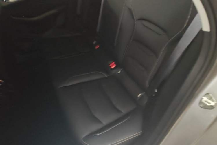 Used Geely Auto Preface 2023 2.0TD Luxury Version Left Rear Seat