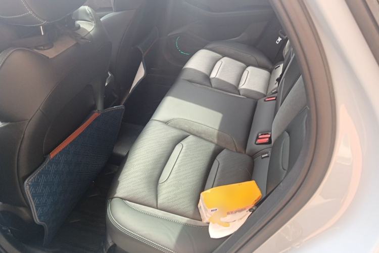Used Geely Auto Preface 2023 2.0TD "Only This Verdant Green" Edition Left Rear Seat