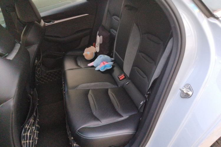 Used Geely Auto Preface 2023 2.0TD "Only This Verdant Green" Edition Left Rear Seat