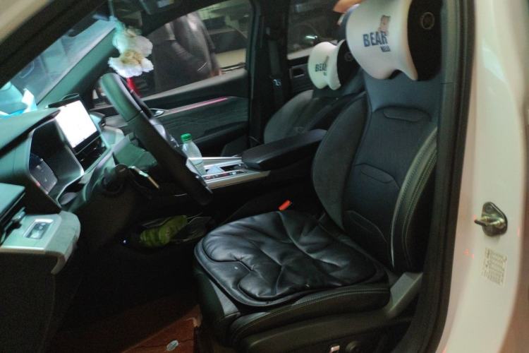Used Geely Auto Preface 2023 2.0TD "Only This Verdant Green" Edition Left Front Seat
