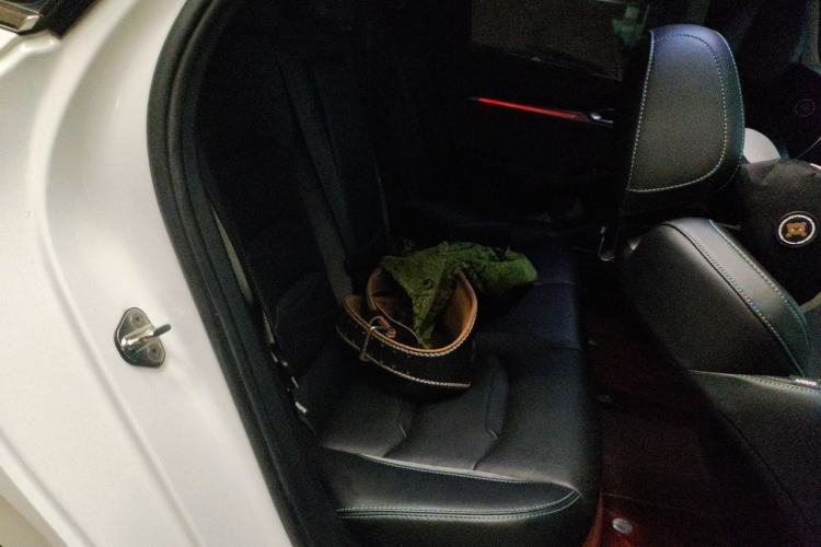 Used Geely Auto Preface 2023 2.0TD "Only This Verdant Green" Edition Left Rear Seat