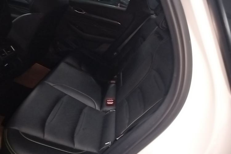 Used Geely Auto Preface 2023 1.5TD Fuyao Version Left Rear Seat
