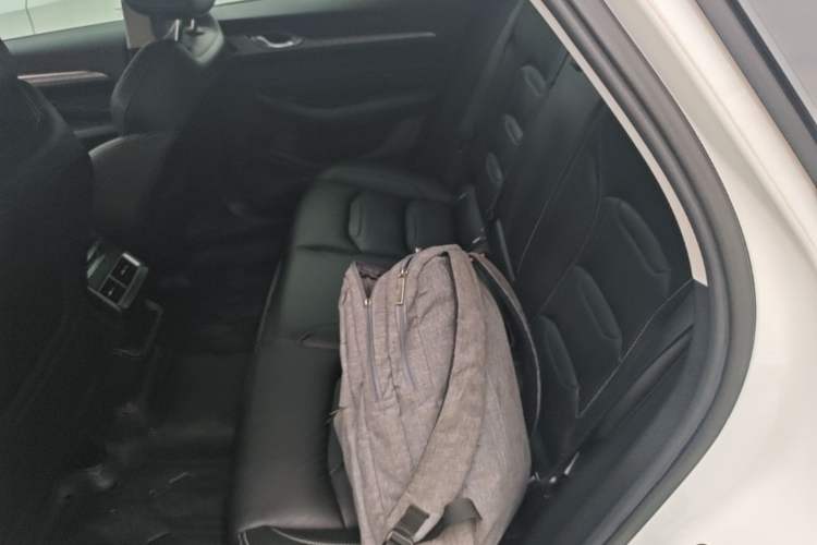 Used Geely Auto Preface 2023 2.0TD Luxury Version Left Rear Seat