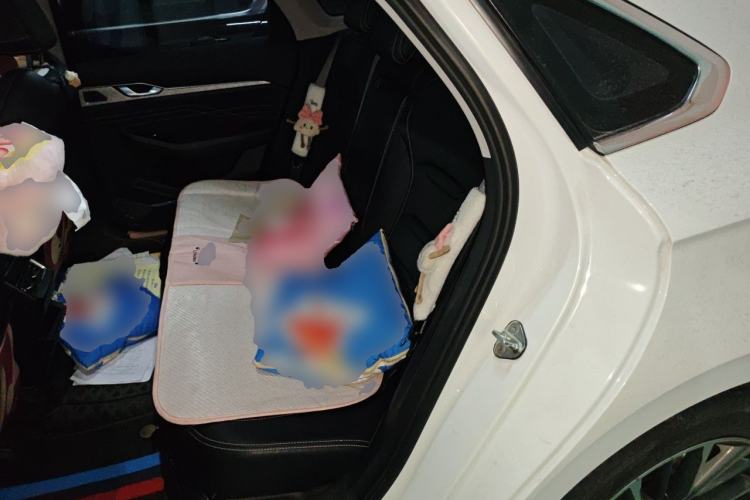 Used Geely Auto Preface 2023 2.0TD Luxury Version Left Rear Seat