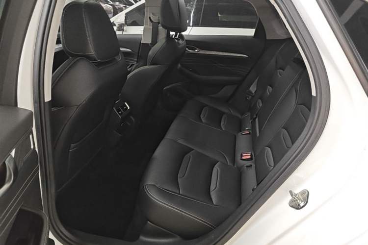 Used Geely Auto Preface 2023 2.0TD Luxury Version Left Rear Seat
