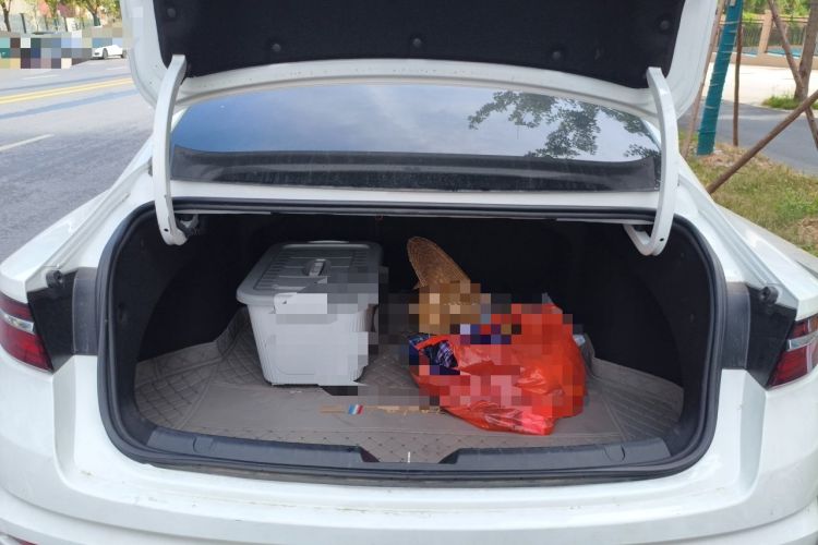 Used Geely Auto Preface 2023 2.0TD Prestige Version Trunk