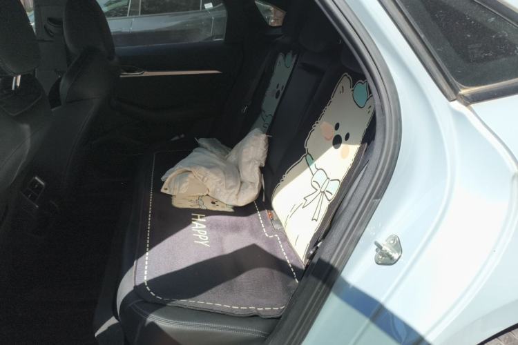 Used Geely Auto Preface 2024 2.0TD Qingyun Edition Left Rear Seat