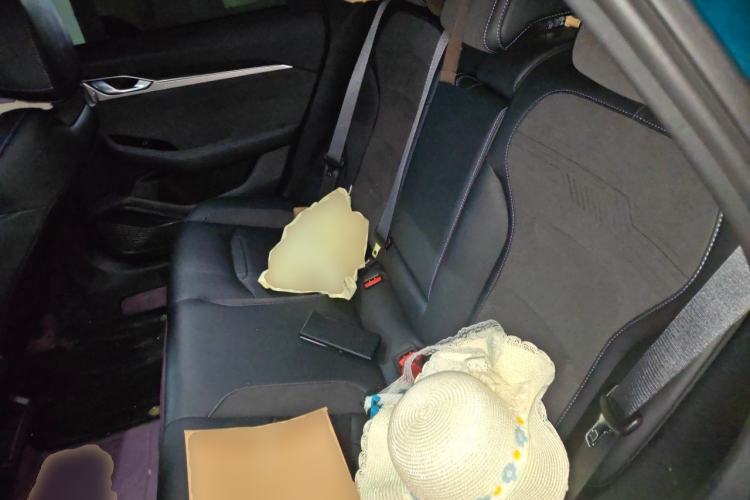 Used Geely Auto Preface 2024 2.0TD Qingyun Edition Left Rear Seat