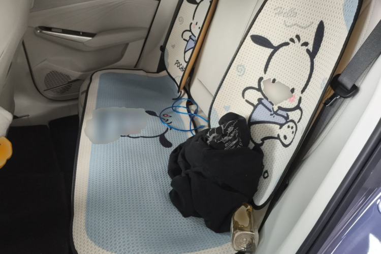 Used Geely Auto Preface 2024 Zhiqing 1.5TD Tiangong Edition Left Rear Seat