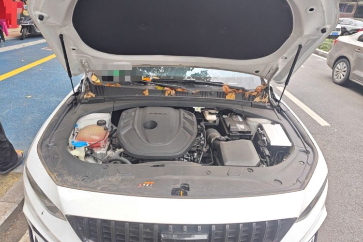 Used Geely Auto Preface 2024 2.0TD Qingyun Edition Engine Bay