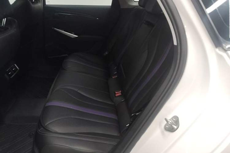 Used Geely Auto Preface 2024 Zhiqing 1.5TD Xingyun Edition Left Rear Seat