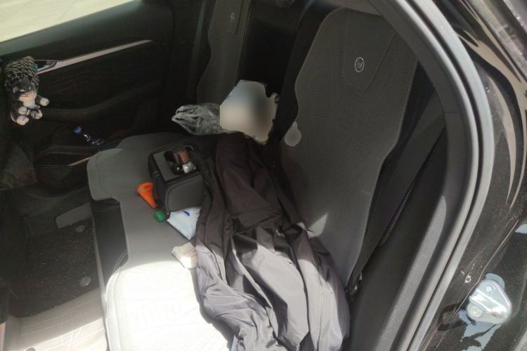 Used Geely Auto Preface 2025 Dongfang Yao 1.5TD Fuyao Edition Left Rear Seat