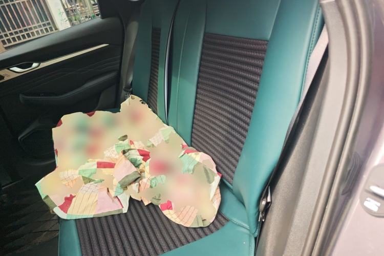 Used Geely Auto Preface 2025 Dongfang Yao 1.5TD Kunlun Edition Left Rear Seat