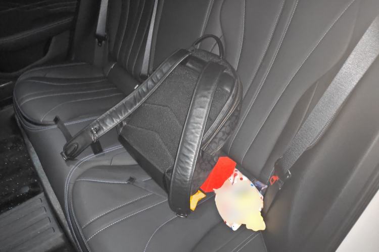 Used Geely Auto Preface 2025 Dongfang Yao 1.5TD Fuyao Edition Left Rear Seat