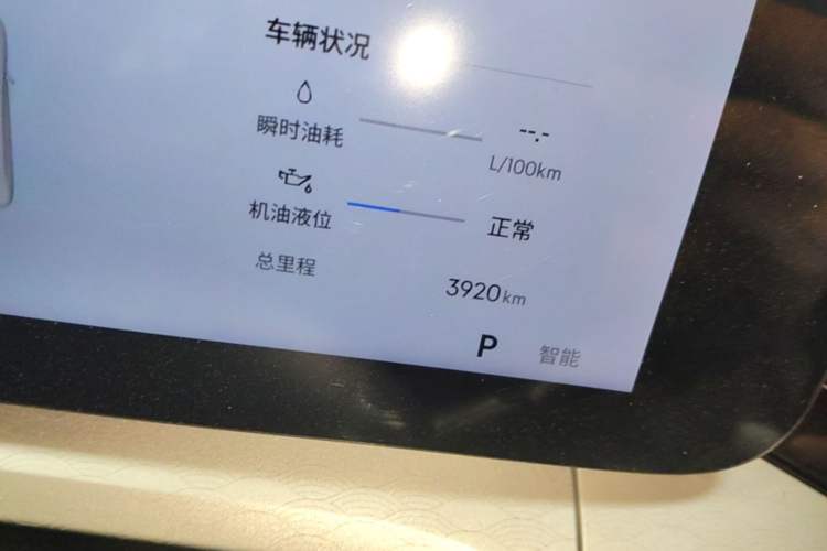 Used Geely Auto Preface 2026 Model Oriental Yao 2.0TD Wangyue Edition Odometer Close Up