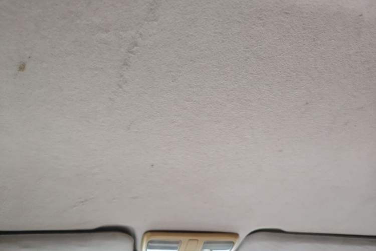 Used Geely Auto Vision 2009 1.5L Platinum Edition Headliner