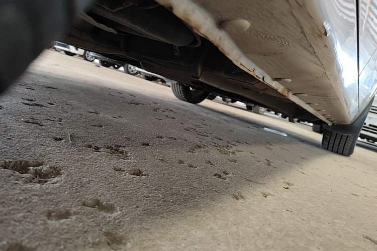 Used Geely Auto Vision 2015 1.5L Manual Elite Model Chassis Rear Right