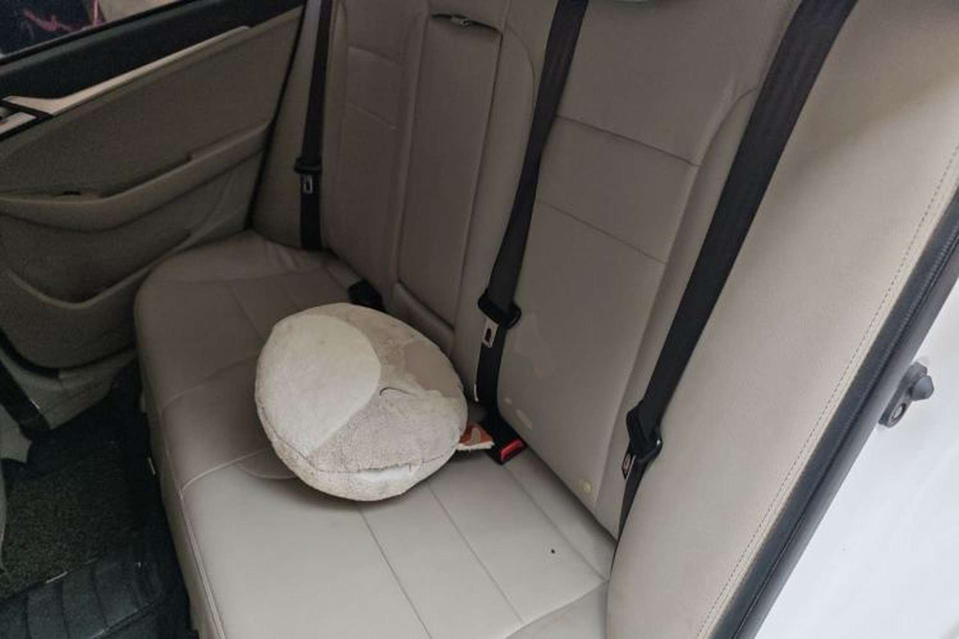 Used Geely Auto Vision 2015 1.5L Manual Elite Model Left Rear Seat