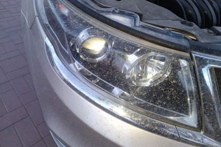 Used Geely Auto Vision 2016 1.5L Automatic Happiness Edition Right Front Headlight