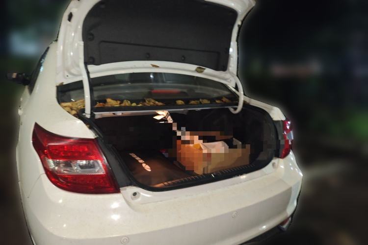 Used Geely Auto Vision 2017 1.5L Manual Happiness Edition Trunk