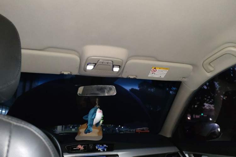 Used Geely Auto Vision 2018 1.5L Automatic Happiness Edition Headliner