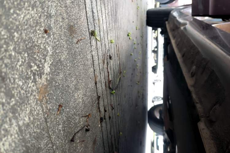 Used Geely Auto Vision 2018 1.5L Manual Happiness Edition Right Side Sill