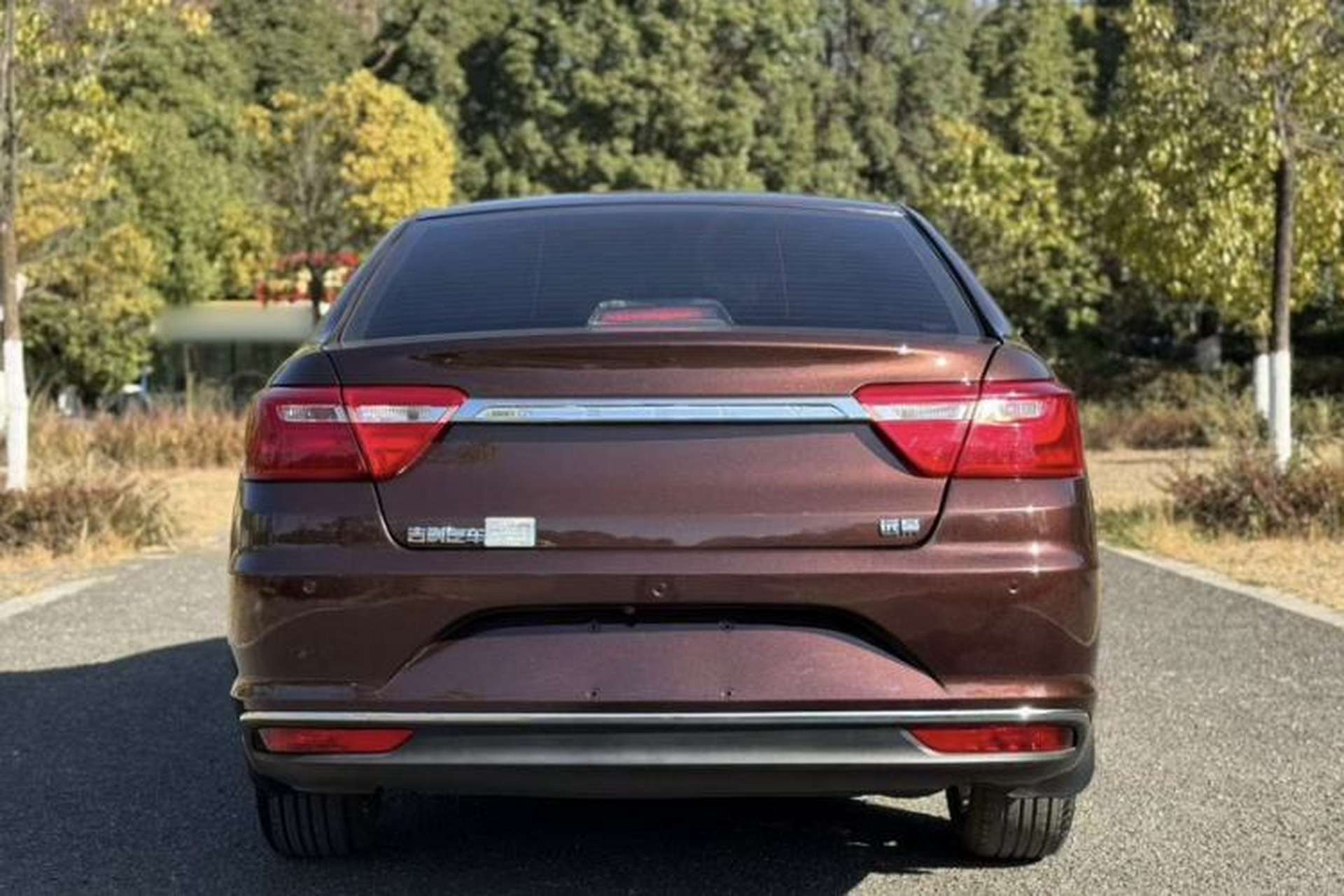 Used Geely Auto Vision 2018 1.5L Automatic Happiness Edition Exterior 5