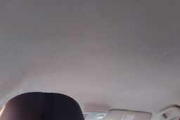 Thumbnail 19