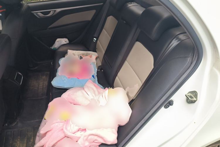Used Geely Auto Vision 2020 1.5L CVT Asian Games Edition Left Rear Seat