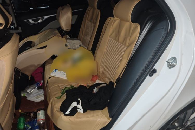 Used Geely Auto Vision 2020 1.5L CVT Asian Games Edition Left Rear Seat