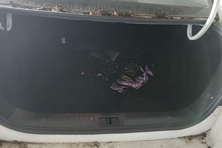 Used Geely Auto Vision 2020 1.5L Manual Asian Games Edition Trunk
