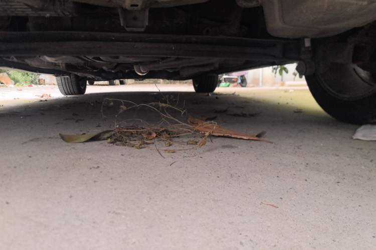 Used Geely Auto Vision S1 2018 1.5L Manual FENGXING Model Chassis Rear