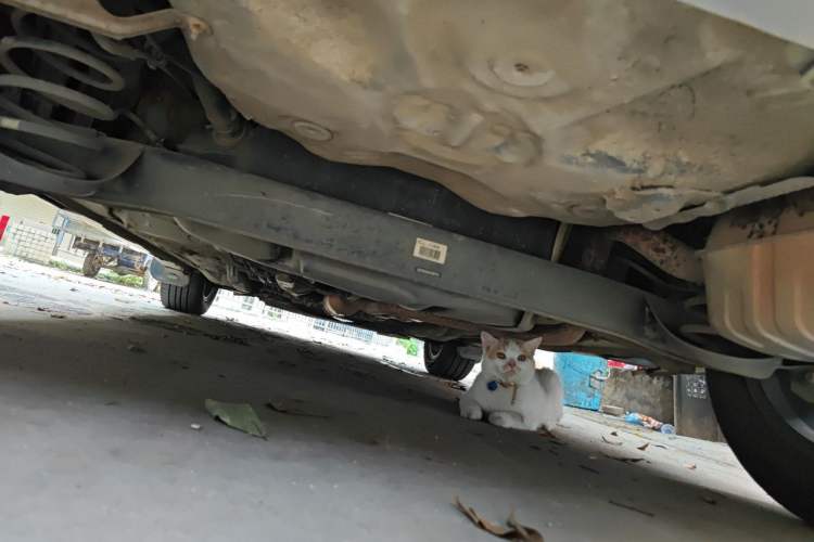 Used Geely Auto Vision X3 2017 1.5L Automatic Luxury Model Chassis Rear