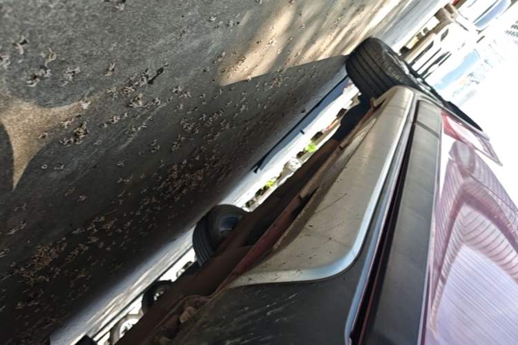 Used Geely Auto Vision X3 2017 1.5L Automatic Elite Model Right Side Sill