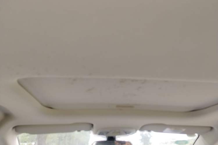 Used Geely Auto Vision X3 2020 1.5L CVT Luxury Model Headliner