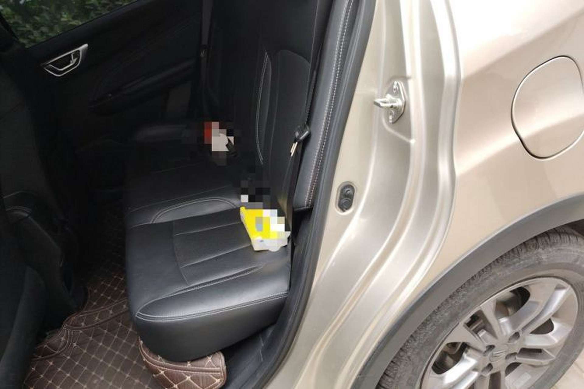 Used Geely Auto Vision X3 2020 1.5L CVT Luxury Model Left Rear Seat