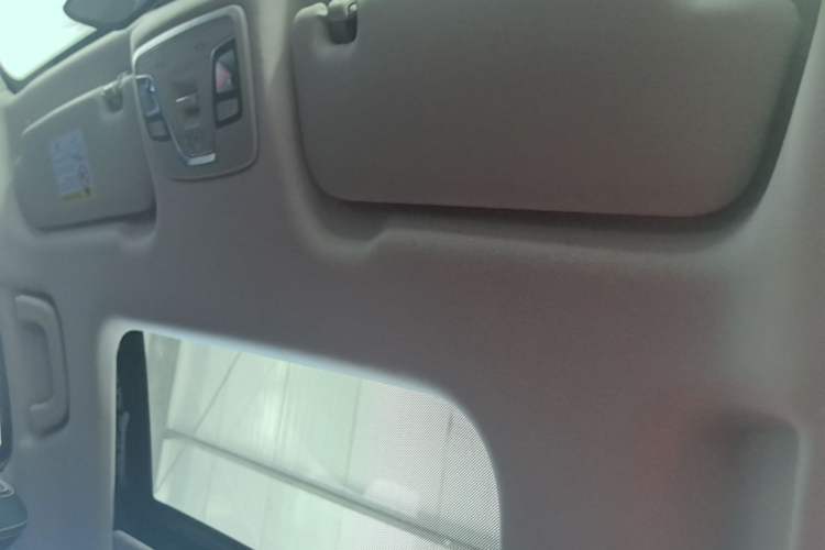 Used Geely Auto Vision X3 2020 1.5L CVT Luxury Model Headliner