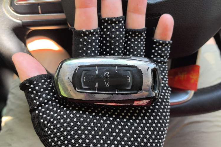 Used Geely Auto Vision X3 2020 1.5L CVT Luxury Model Interior 1