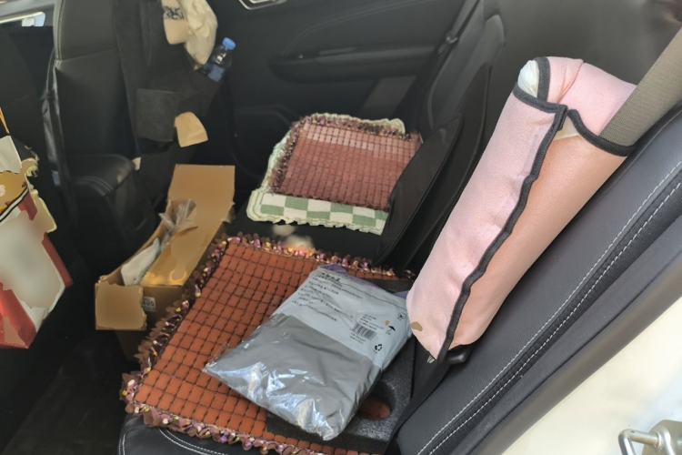 Used Geely Auto Vision X3 2020 1.5L Manual Luxury Edition Left Rear Seat