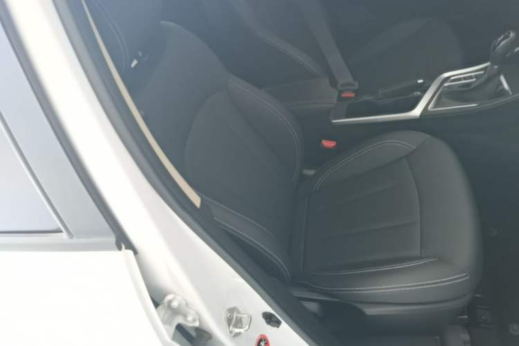 Used Geely Auto Vision X3 2020 1.5L CVT Luxury Model Right Front Seat