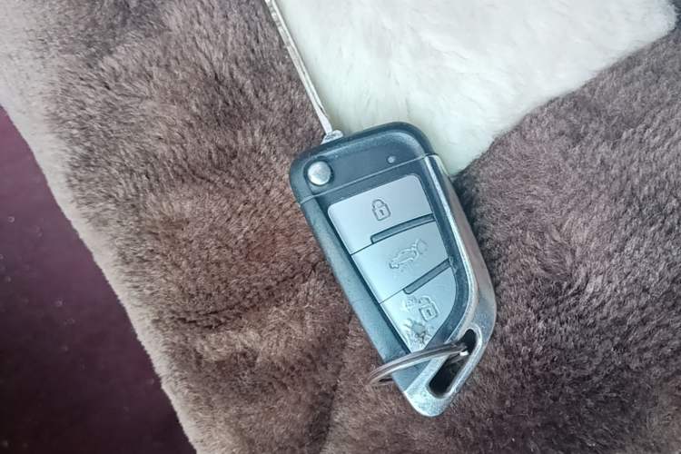 Used Geely Auto Vision X3 2020 1.5L Manual Elite Edition Vehicle Key