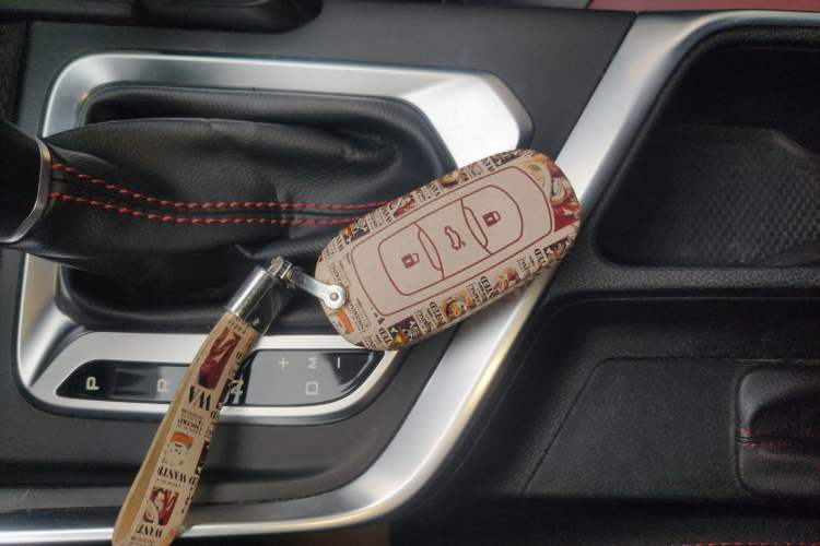 Used Geely Auto Vision X3 2021 PRO 1.5L CVT Deluxe Model Vehicle Key
